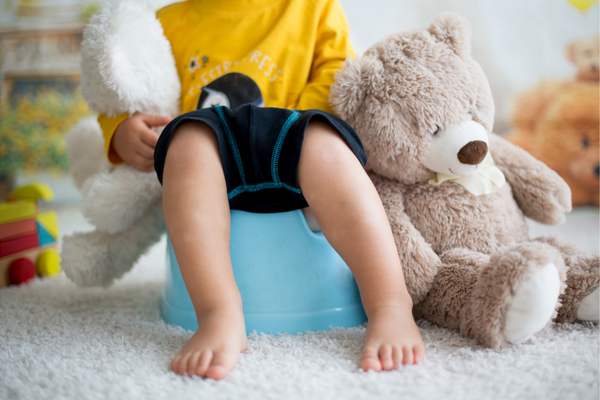 Boy sitting on a potty holding a teddy