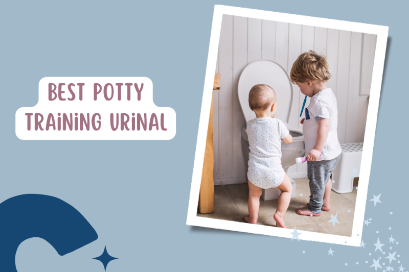 Best Potty Training Urinal