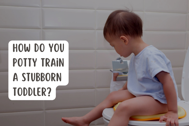 How Do You Potty Train a Stubborn Toddler