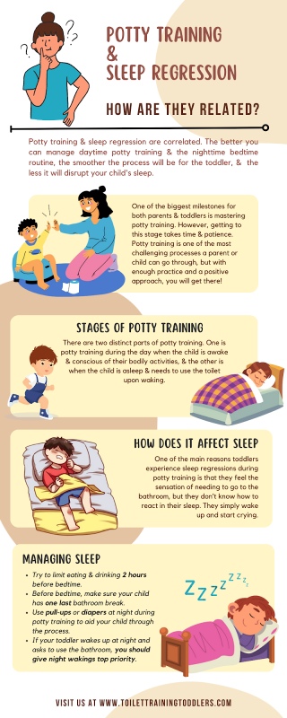 Infographic - Potty training and sleep regression